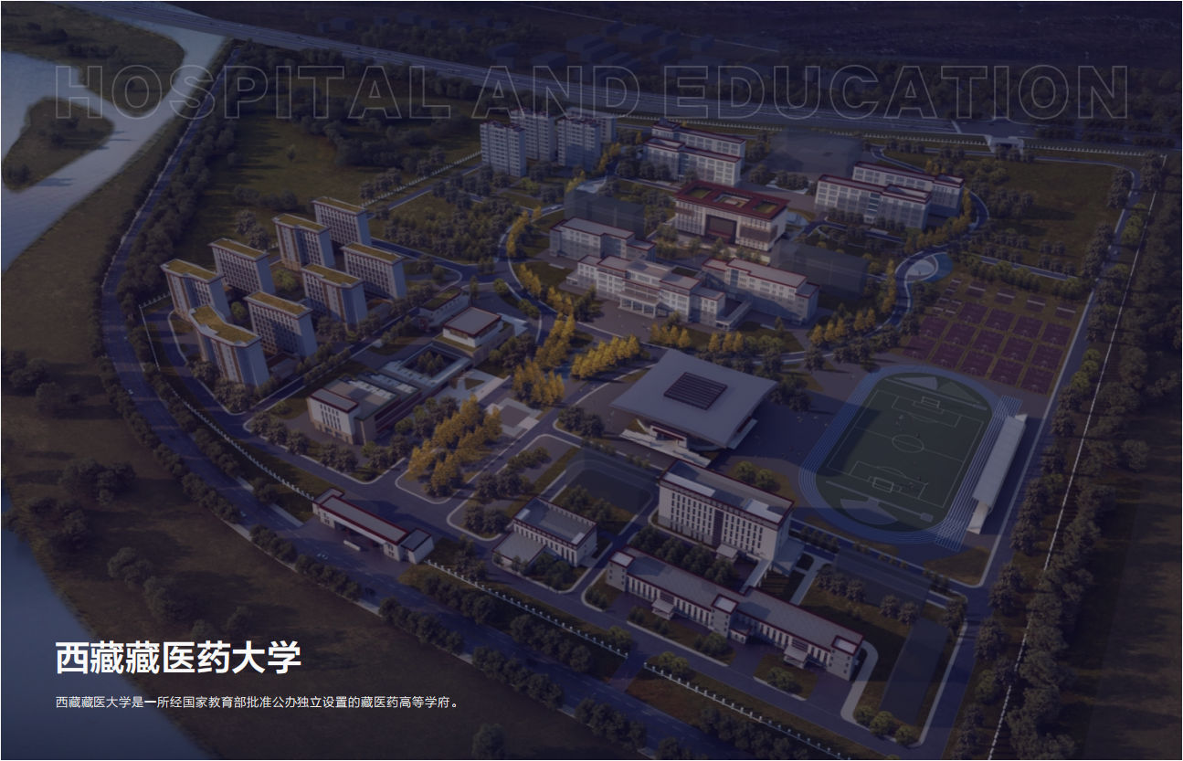 西藏藏醫藥大學.png